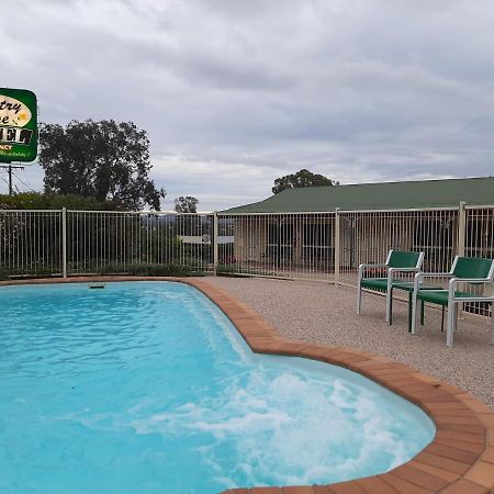 Country Rose Motel Warwick Exterior foto